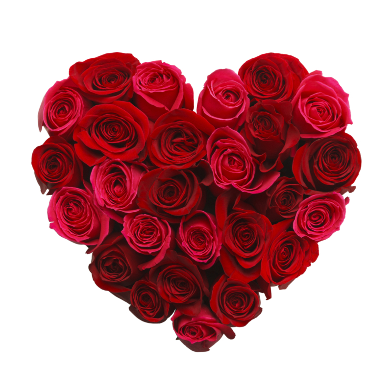 Love & Romance Flowers